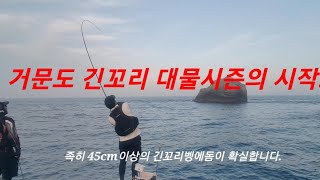 [어신]거문도 긴꼬리벵에돔! 찌낚시에 이런씨알이...ㅎㄷㄷ  파워풀한 대물들의 당찬손맛!