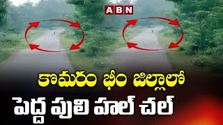 కొమరం భీం జిల్లాలో పెద్ద పులి హల్ చల్| Tigers Hulchul in Komaram Bheem Dist | ABN Telugu