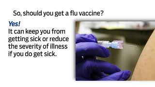 So what is influenza exactly?