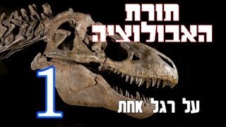 תורת האבולוציה על רגל אחת - 1