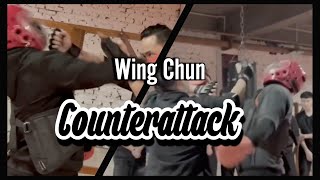 Wing Chun Parry and Counterattack #shorts #Wushu #KungFu