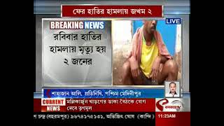 Paschim Medinipur | Elephant Attack | পশ্চিম মেদিনীপুরে ফের হাতির হামলায় জখম ২