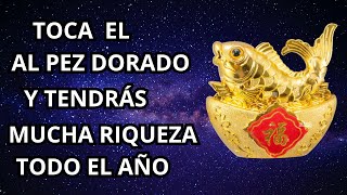 TOCA EL PEZ 🐠DE LA FORTUNA Y TENDRÁS RIQUEZA GARANTIZADA _ EL DINERO LLEGARA _ FORTUNA _ DINERO
