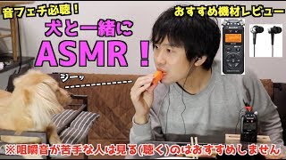 【ASMR】犬と一緒に咀嚼音をバイノーラルマイクで録音してみた〜TASCAM リニアPCMレコーダー DR 05VER2 JJ／Roland ローランド バイノーラル マイクロホン イヤホン