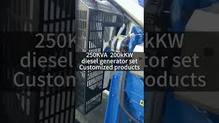 250KVA  200kKWdiesel generator setCustomized products #dieselgeneratorset #dieselgenerators