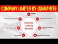 Company Limited by Guarantee - Definition, Formation and Types of Company Explained with Example.