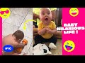 Super Funny & Hilarious Moments Baby's Life 😂 #10