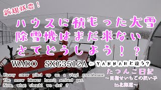 【新規就農】ハウスに積もった大雪　除雪機はまだ来ない　さて、どうしよう!? たつんこ日記