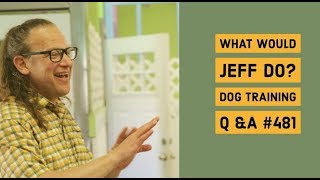 Leash Reactive Dogs | Lunging dogs | What Would Jeff Do? Dog Training Q & A #481