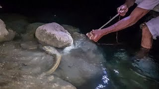 Pescando Anguilas de Rio Con Fisga