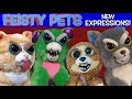 Feisty Pets New Expressions!