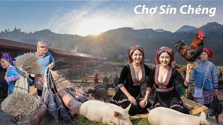Chợ phiên Sín Chéng đầu năm-nhộn nhịp tấp nập từ sáng sớm- phiên chợ vùng cao tuyệt đẹp