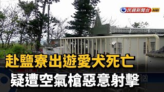 赴鹽寮出遊愛犬死亡 疑遭空氣槍惡意射擊－民視台語新聞