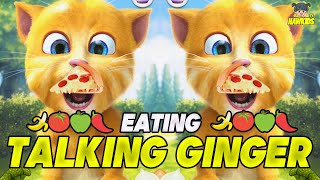 Talking Ginger Eating Fruits