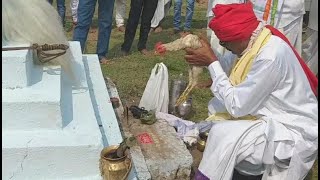 adivasis perform puja to gond kings at fort- గోండు రాజుల కోటలో ఆదివాసీల పూజలు