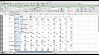 How to make a report-ready correlation matrix quickly using SPSS and Excel