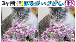 🐈間違い探し🐈いくつ見つけられる？3ヶ所の間違いを探しだせ！vol.152