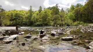 Wilderness Walks With Ray Mears 2014 Episode 5