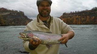 Steelhead fishing the Niagara Whirlpool