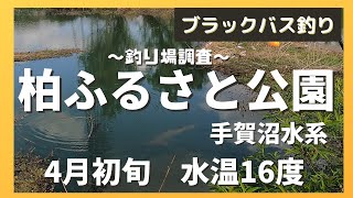 【手賀沼バス釣り】手賀沼水系大堀川　柏ふるさと公園　4月上旬の調査