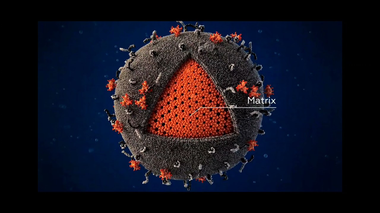 Hiv Virus 3d Model Scientifically Youtube