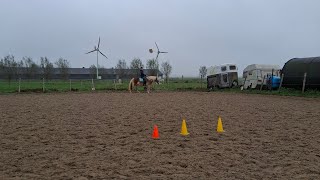 Weekvlog!!!!!!  Het NIEUWE PAARD rijden en grondwerk》