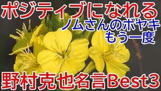 野村克也の名言,ポジティブになれる野村克也の言葉Best3（元プロ野球選手,監督,野球解説者）Katsuya Nomura famous quotes