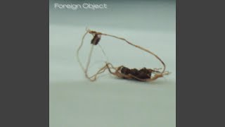 Foreign Object (Interlude)