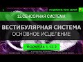 1.13.3 🎧 ИСЦЕЛЕНИЕ ВЕСТИБУЛЯРНОГО АППАРАТА От Укачивания ГЛУБОКОЕ ИСЦЕЛЕНИЕ (резонансный саблиминал)