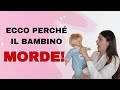 IL BAMBINO MORDE. COME GESTIRE I MORSI DEI BAMBINI a casa e in asilo nido.