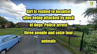 Breaking news: Girl is rushed to hospital after being attacked by pack of dogs  Police arrest th...
