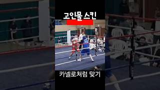 복싱 생체 헤비급 고인물 스킨