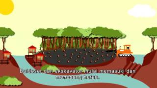 Pentingnya Lahan Gambut (The Importance of Peatlands)