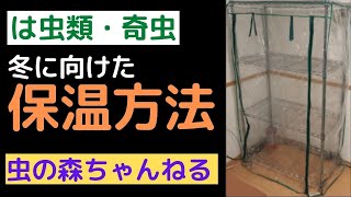 【超簡単】爬虫類・奇虫の保温方法