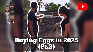 Buying Eggs in 2025 (Pt.2) #comedy #theclassiiics #funny #eggs #2025 #egg #comedyvideo #funnyvideo