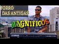 SOLOS FORRÓ DAS ANTIGAS - MAGNÍFICOS - LEANDRO MENDES