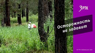 Осторожность не задавит