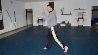 Elemente de Tae Bo - 23 (Ungureanu Marius)