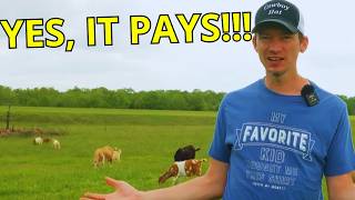 How To Make A Profit On A Small Scale Farm – 5 Things To Consider