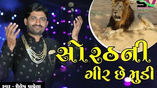 વિશ્વ સિંહ દિવસ નિમિતે ગાંડી ગીર ના સિંહ ની વાતો અને ગીતો // Shailesh Vaghela// World Lion Day