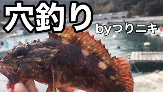 穴釣り　つりニキ　香川県三豊市