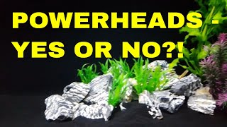 Powerheads - Yes or No?!