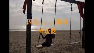 因为。。。所以  叶瑷菱  歌词