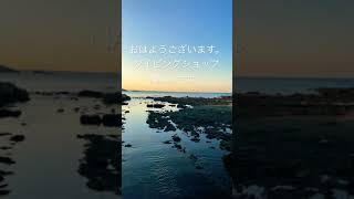 2021年10月30日ダイビングショップNANAが今日の葉山の海況をお伝えします。