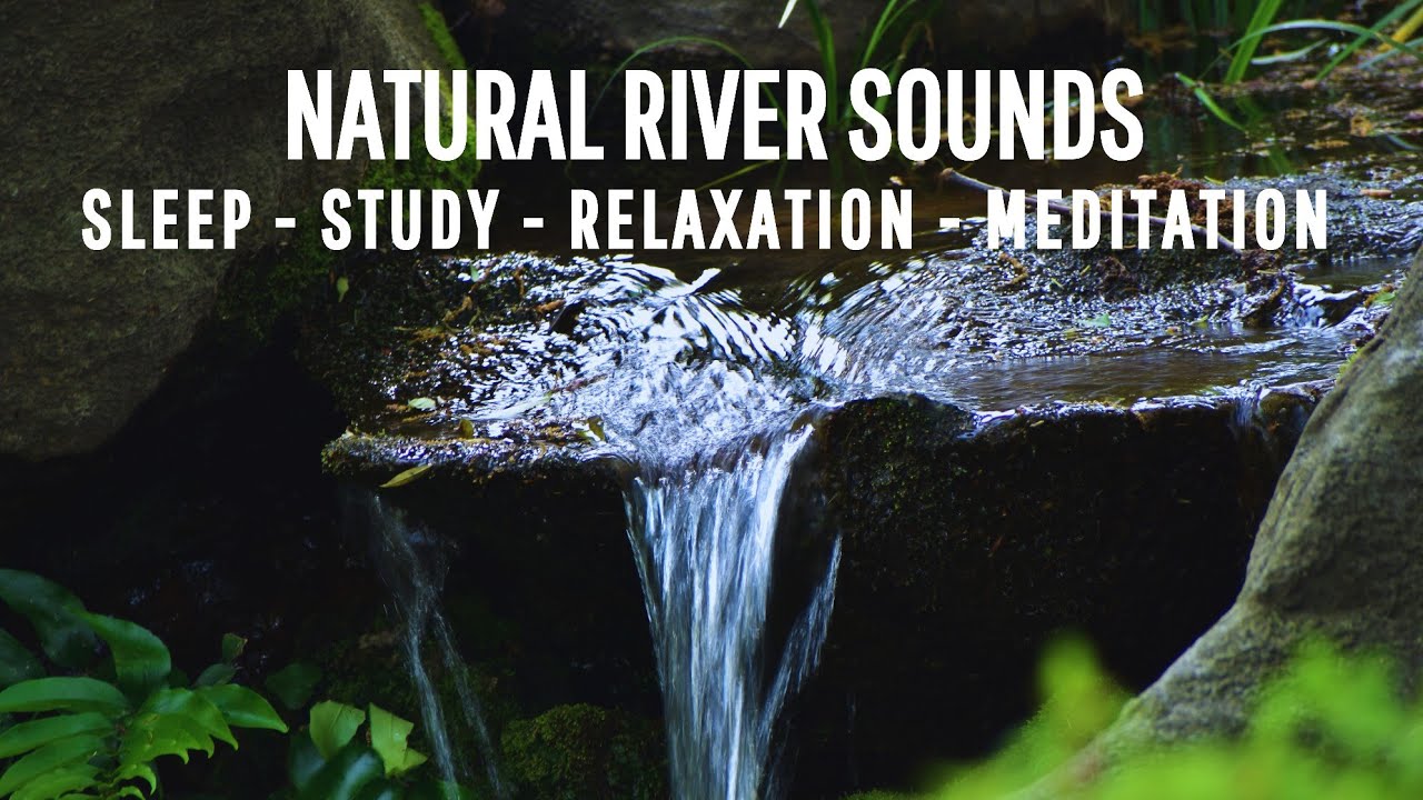 No Birds Soothing Sounds Of A Beautiful Mountain River Relaxing