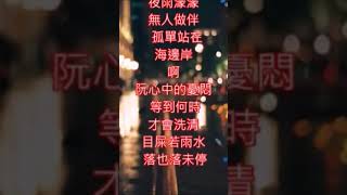 雨のブルース    雨的勃魯斯    寒雨曲   蔡幸娟