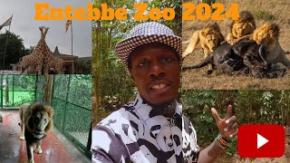 ENTEBBE ZOO Uganda 2024 || Exploring Deadly Animals in Uganda Wildlife Conservation Education Centre