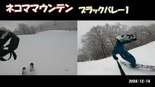 ネコマ マウンテン(南エリア) 2024年12月14日オープン(#スキー#コブ#モーグル#新雪#パウダー#会津#ネコマ#アルツ＃ネコママウンテン)