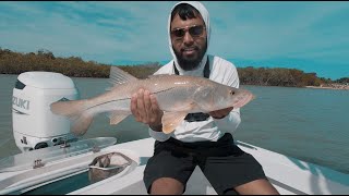 NON STOP SNOOK ACTION AT SEBASTIAN INLET(4K)