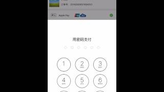 Apple pay 支付流程